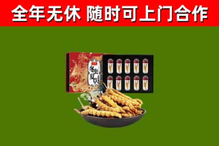 大涌镇回收冬虫夏草价格